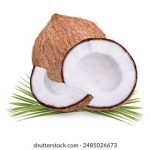 探索发发平台的多元化功能,提升你的商业竞争力 771jrn