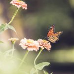 轻松获取德克萨斯扑克官方下载,体验刺激的扑克对战乐趣 he680icm