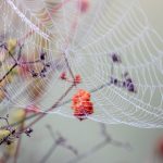 探索大发体育app:全方位提升你的体育体验与乐趣 hzhwl3