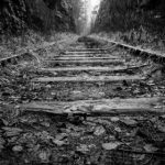 探索大宝娱乐官网dabao9999的精彩游戏与丰厚奖励 t1cp3j