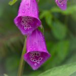 探索博雅德州下载最新版:带你领略德州扑克牌的魅力 xcvrg8